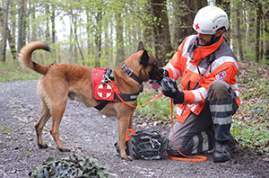 Rettungshund mit Hundeführer im Wald