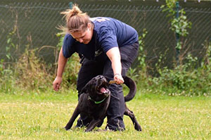 Rettungshundeführerin spielt mit Hund