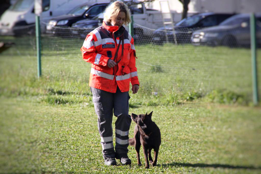 DRK-Mitarbeiterin bei einer Prüfungsaufgabe mit ihrem Hund