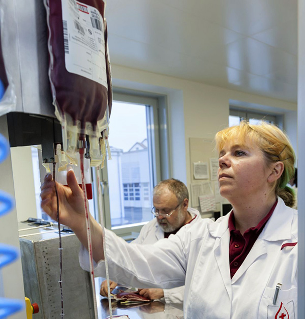 Mitarbeiterin des Blutspendedienstes schaut sich eine Blutkonserve an